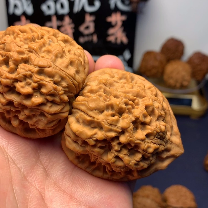 1***5咯一下啦咯哦不要
