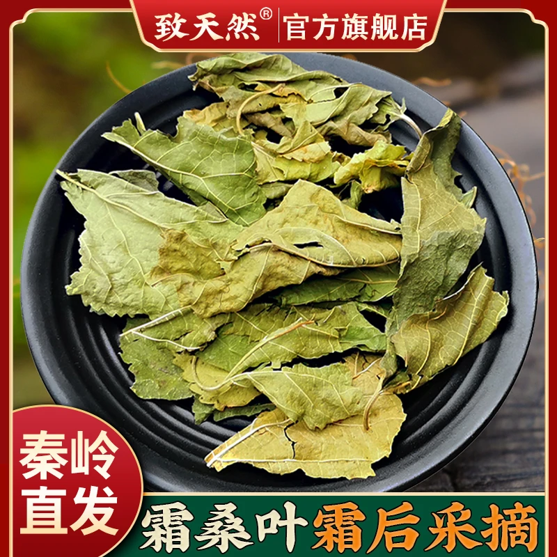 致天然霜桑叶秦岭霜后采摘冬桑叶茶霜打过的天然桑叶止汗桑叶作用