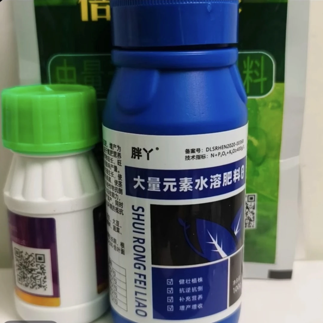 胖丫 大蒜生根壮苗,防根腐烂母,抗冻抗病速绿快速生长(十送一)