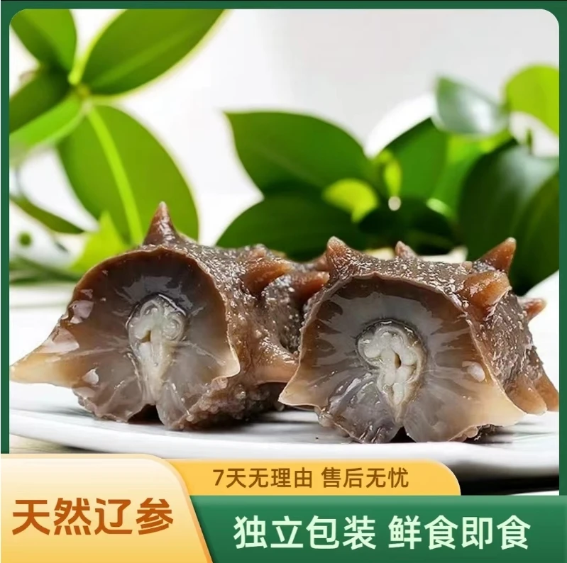 【肉厚Q弹 辽刺参 独立包装】高品质鲜食即食海参 营养美味滋补