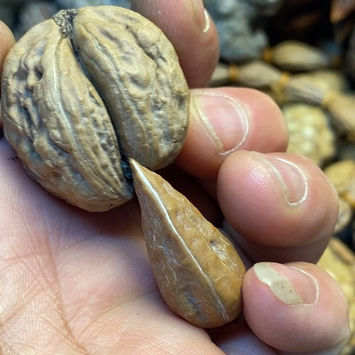 桃核吊坠娜姐真的61