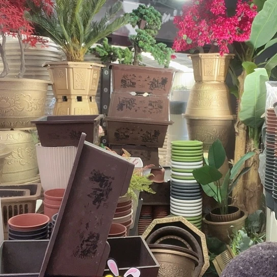 红陶盆景8899966689