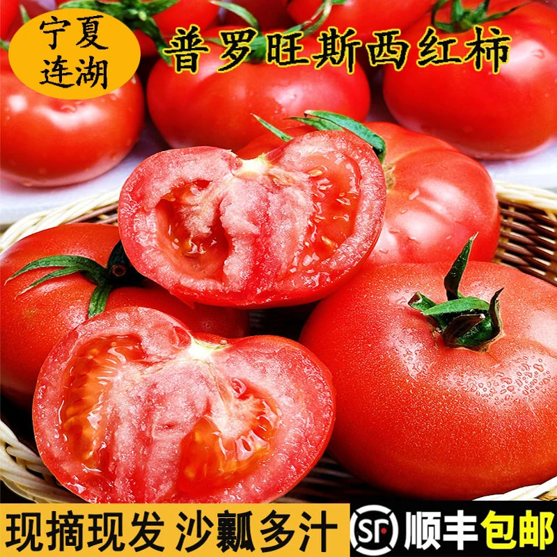 宁夏连湖普罗旺斯西红柿沙瓤生吃酸甜可口现摘自然熟水果蔬菜