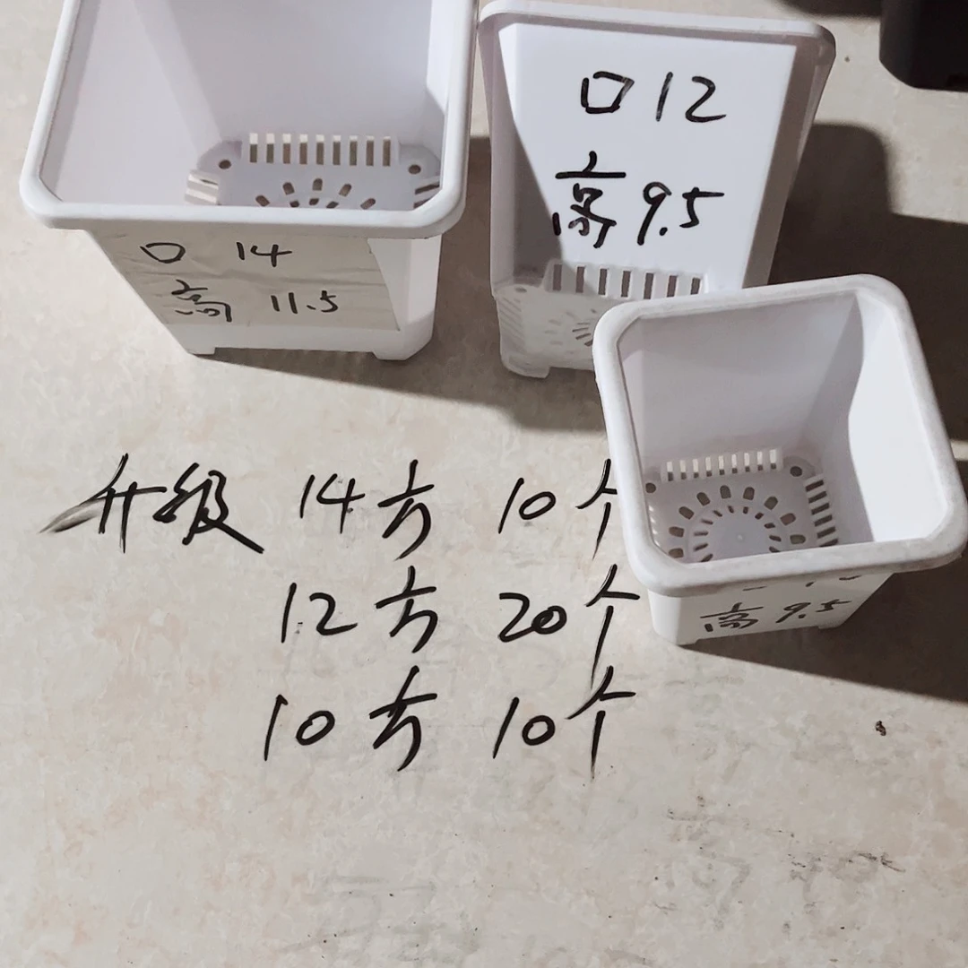 塑料夏**雨升级款组合40个白色无托