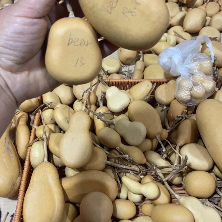 好***熊好运小熊恭喜发财