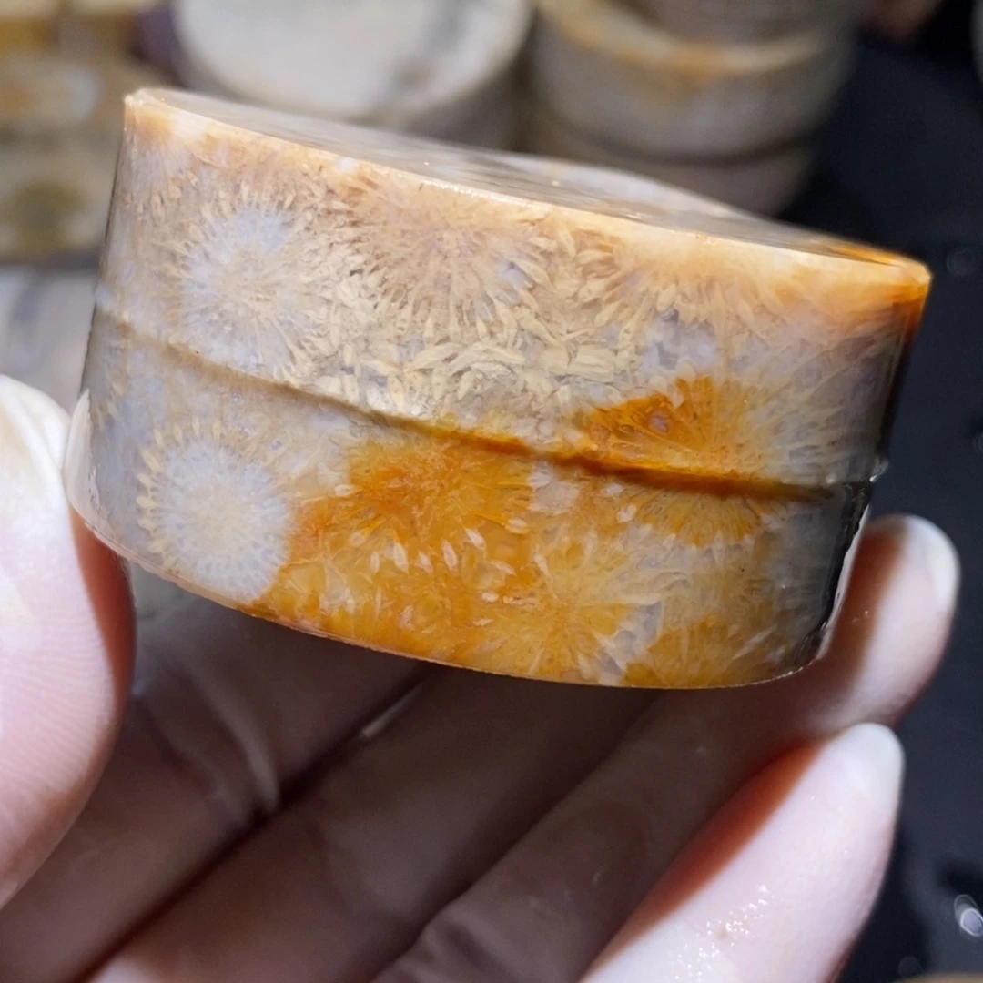 【闪购商品】硅化玉珊瑚玉未镶嵌