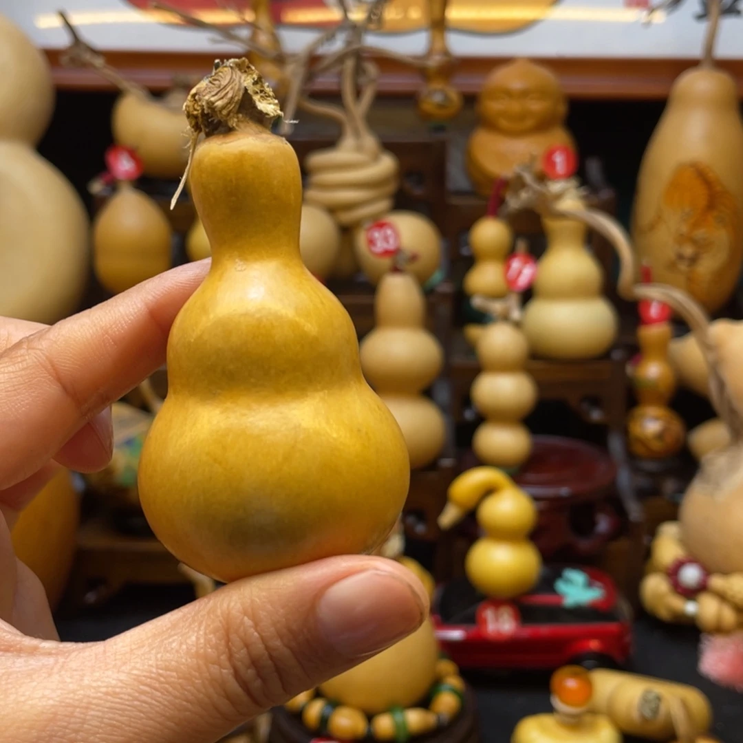 老*！葫芦等经济作物和各种植物的生长发育