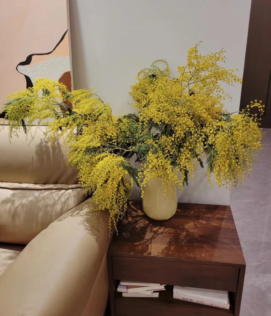 【金合欢】云南斗南基地现采现发高端居家氛围花材超长花期小众花材