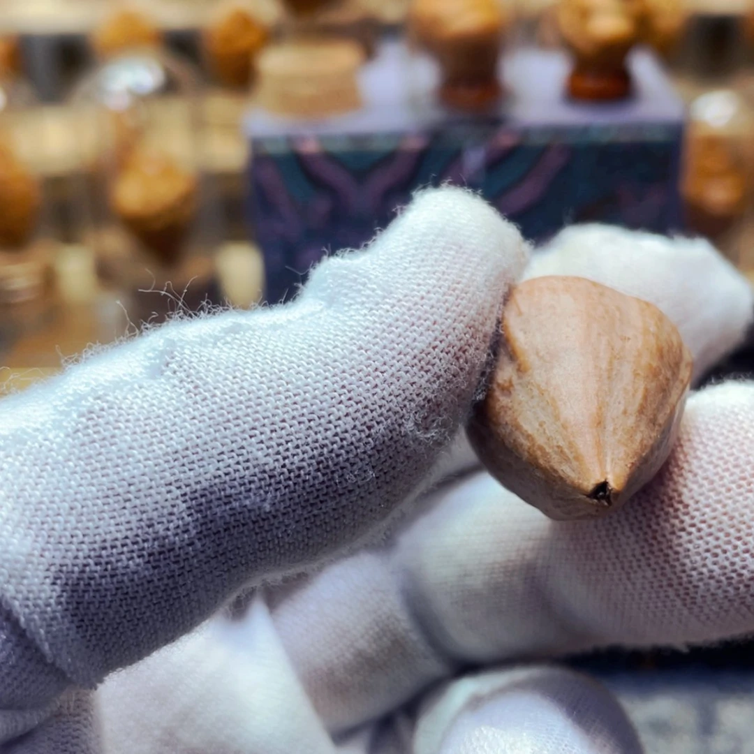 【闪购商品】手串/手链橄榄核1.8蛇王一点2