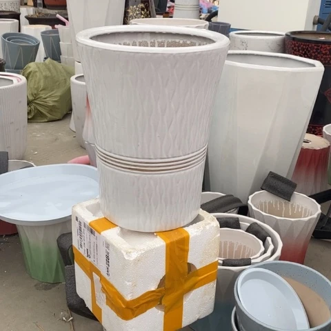 低腰白金腰线中 口25/33