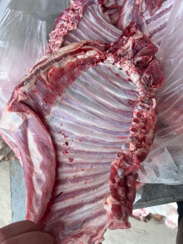 徐州本地散养小山羊肋排新鲜谷饲草饲溜达羊