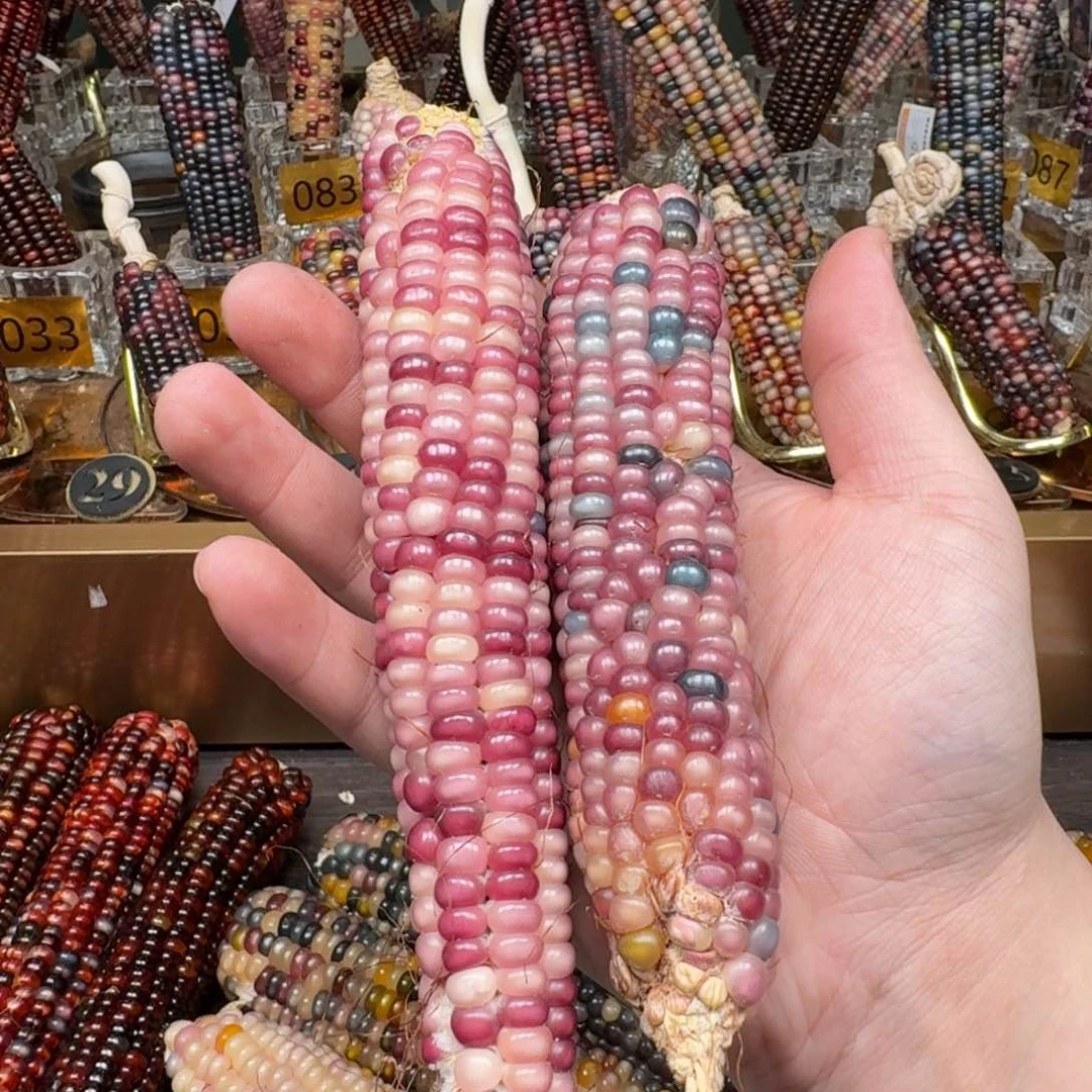 柏香籽/百香籽吊坠Z*