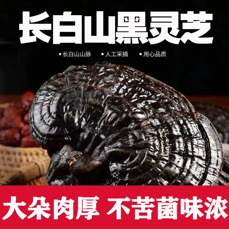 正宗长白山黑灵芝整个天然黑灵芝煲汤泡酒野生黑灵芝不苦黑灵芝