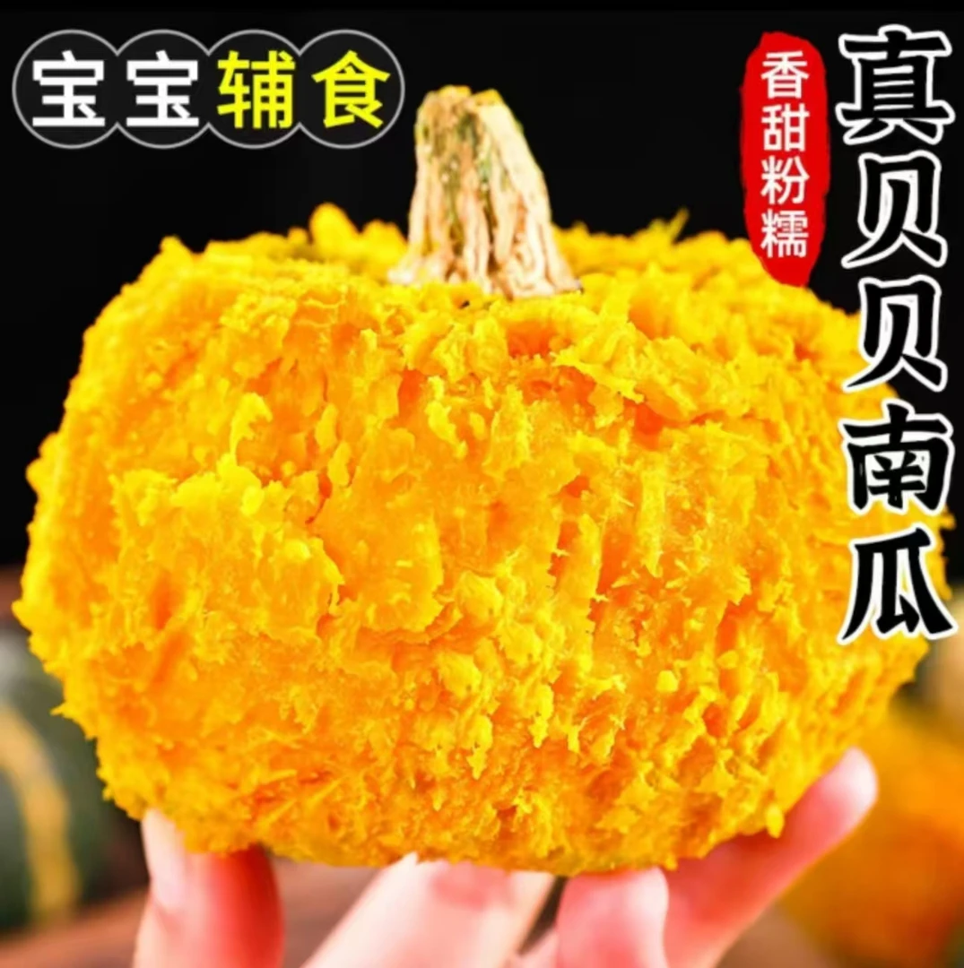 宝宝南瓜贝贝粉糯板栗小南瓜新鲜辅食健身粗粮精选