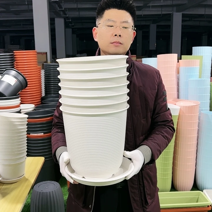 正品高陶口27高27白色4只带托