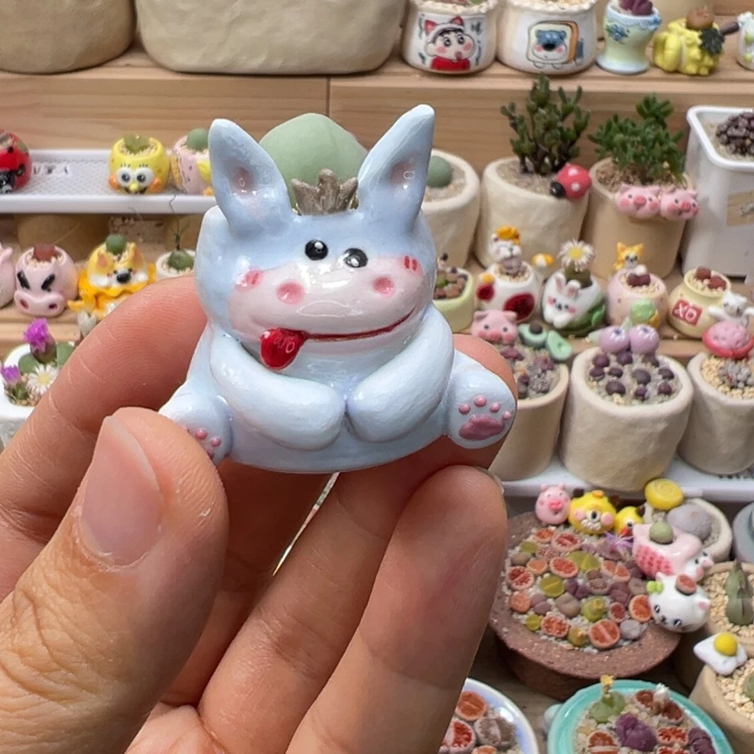 多肉植物124号拇指盆