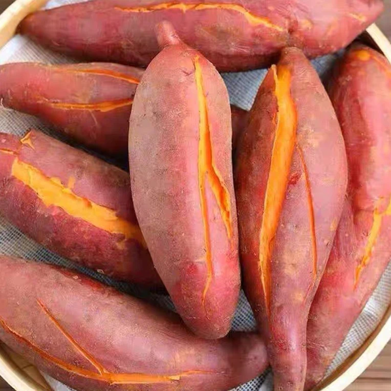 观梧优选云南高原西瓜红蜜薯还原食物本来味道