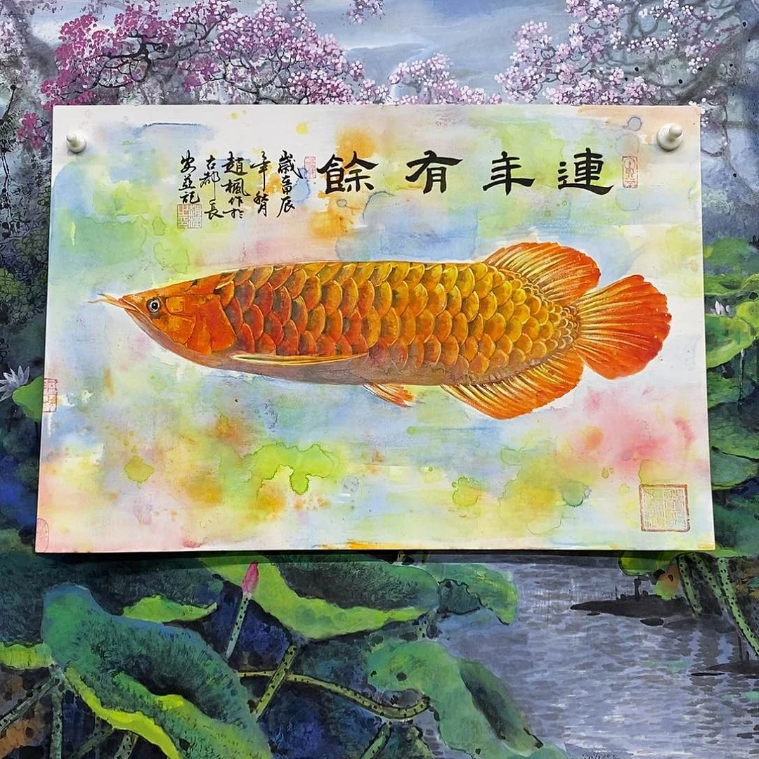 国画手绘国画精品，金龙鱼