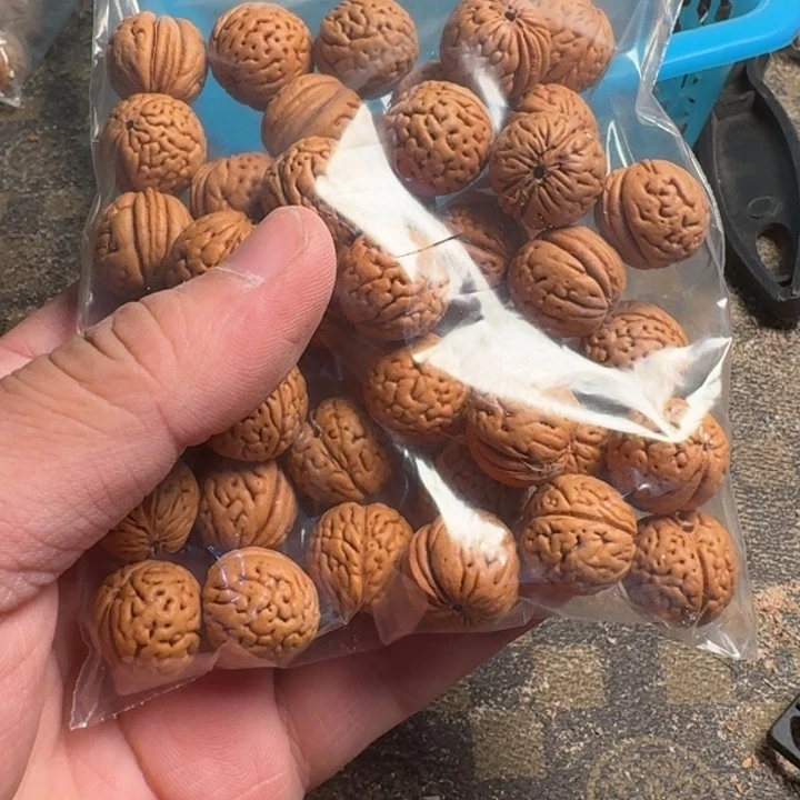 刘***刘吊坠桃核666666666666