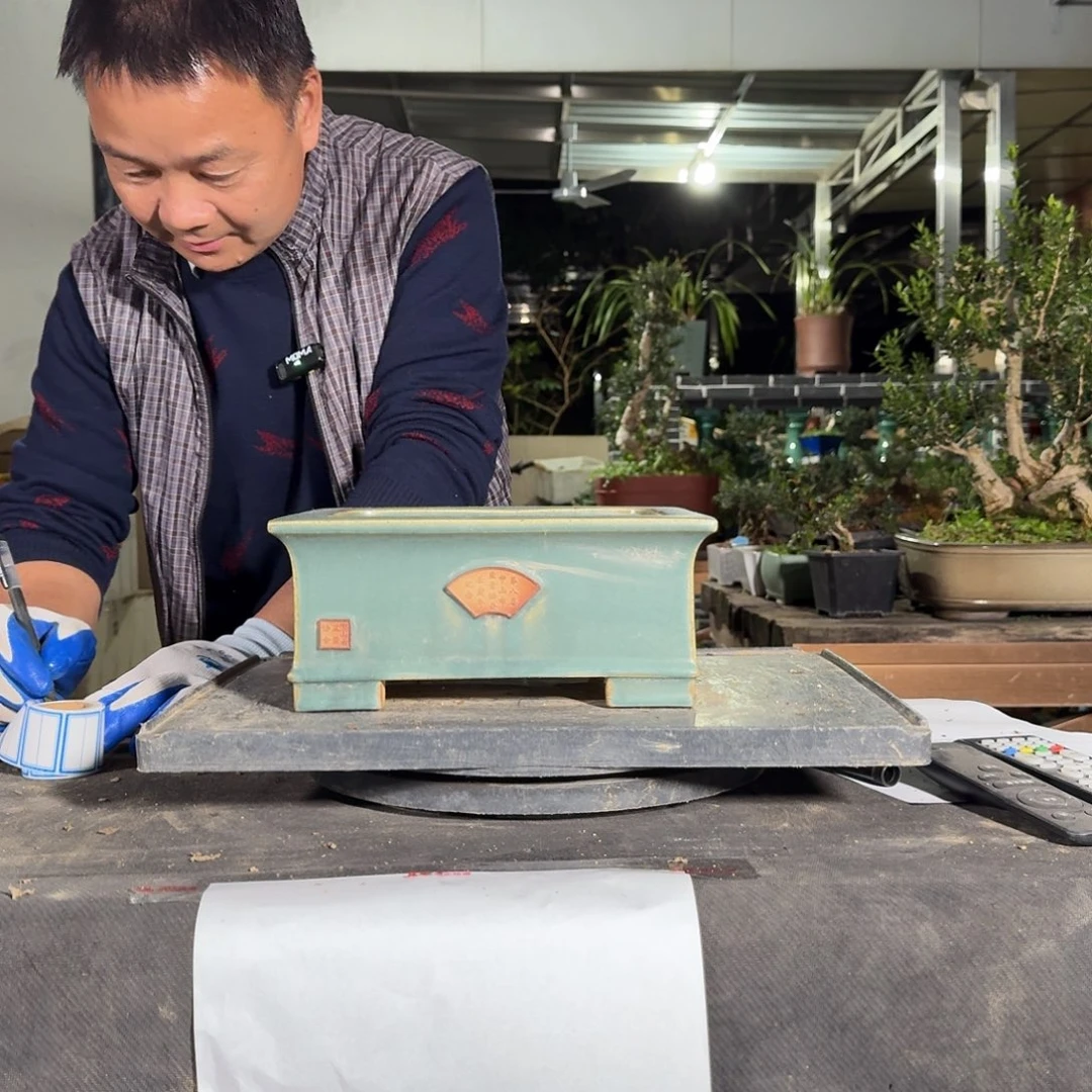 红陶C*y精选好盆