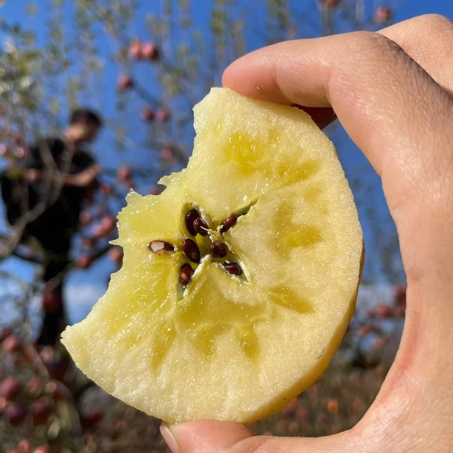 四川汉源冰糖心丑苹果十斤新鲜当季水果现摘现发脆甜多汁产地包邮