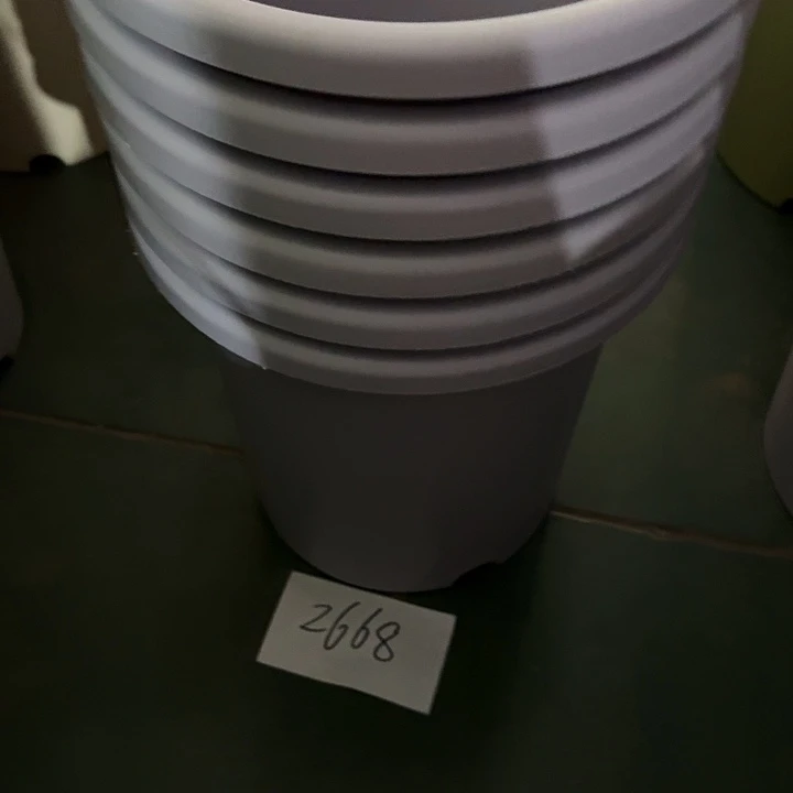 编号编号编号2668