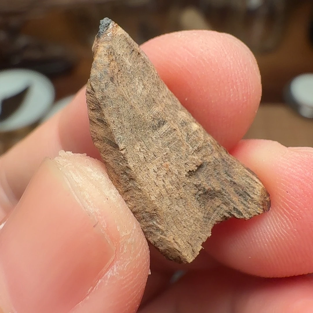 沉香沉水缅甸密支那料子