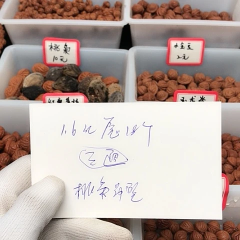 桃核吊坠琦**石龙纹桃核的搭配