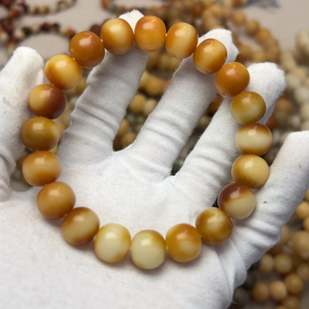 吊坠菩提根/象牙果13干磨319