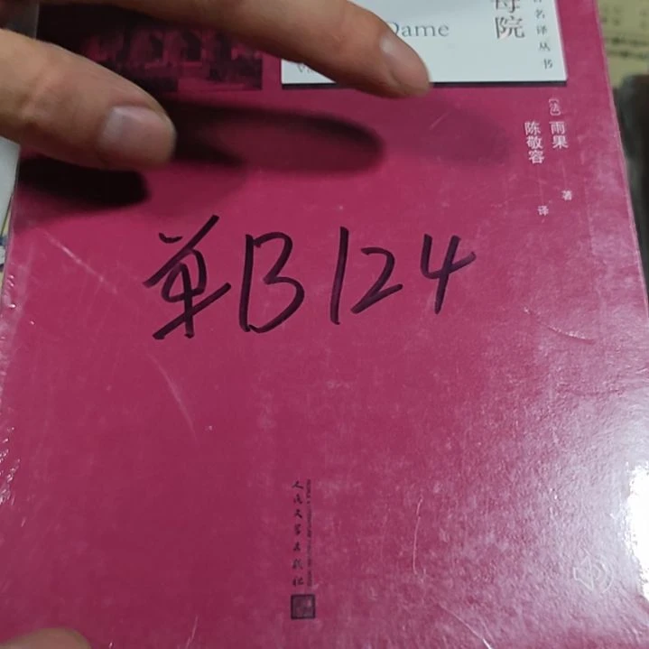 巴黎圣母院（红色封面看图片发货）微瑕