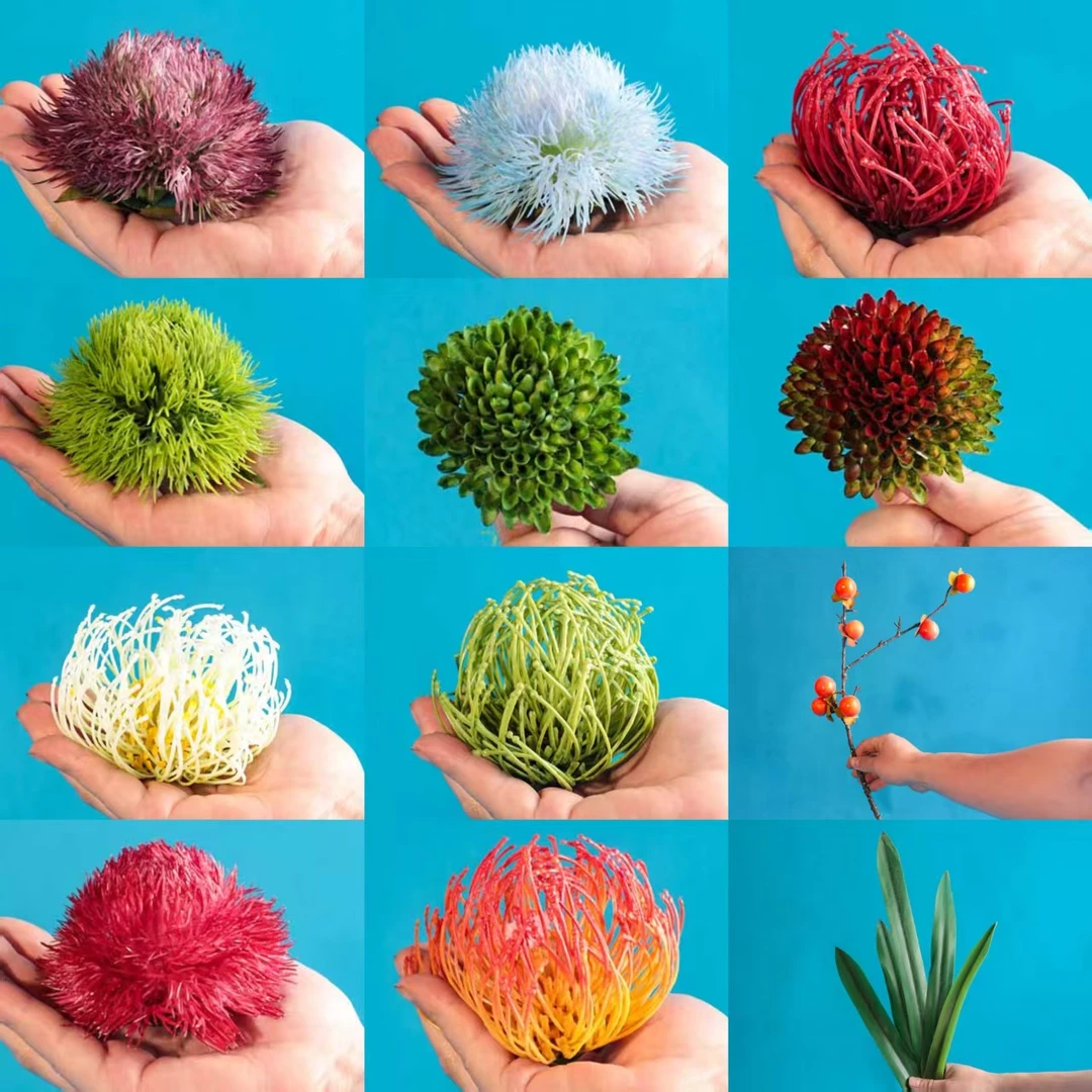 酒店意境刺身摆盘装饰花草冷菜盘饰刺身围边刺身海鲜姿造装饰摆件