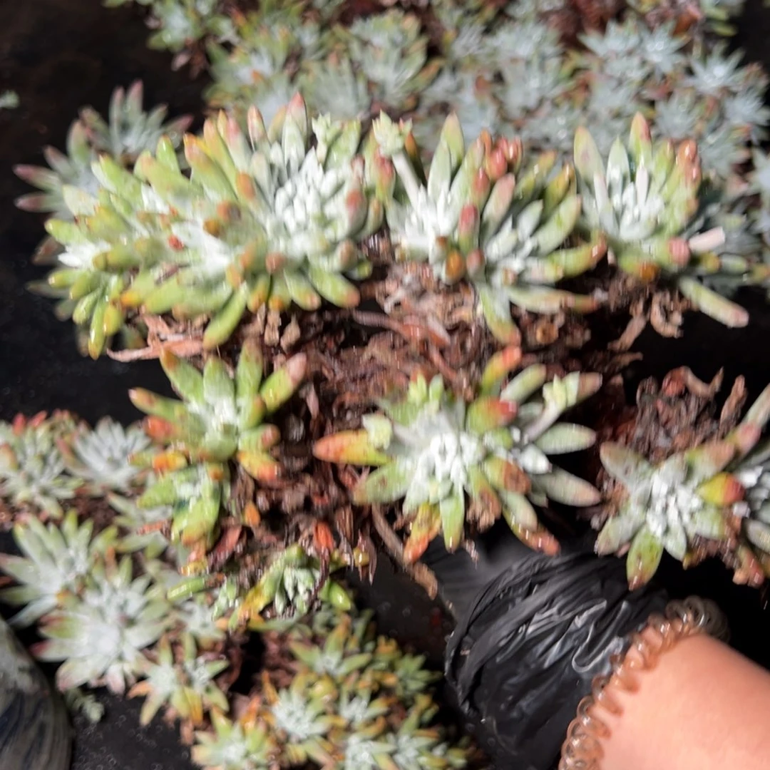 4734哈哈哈哈哈哈哈哈哈