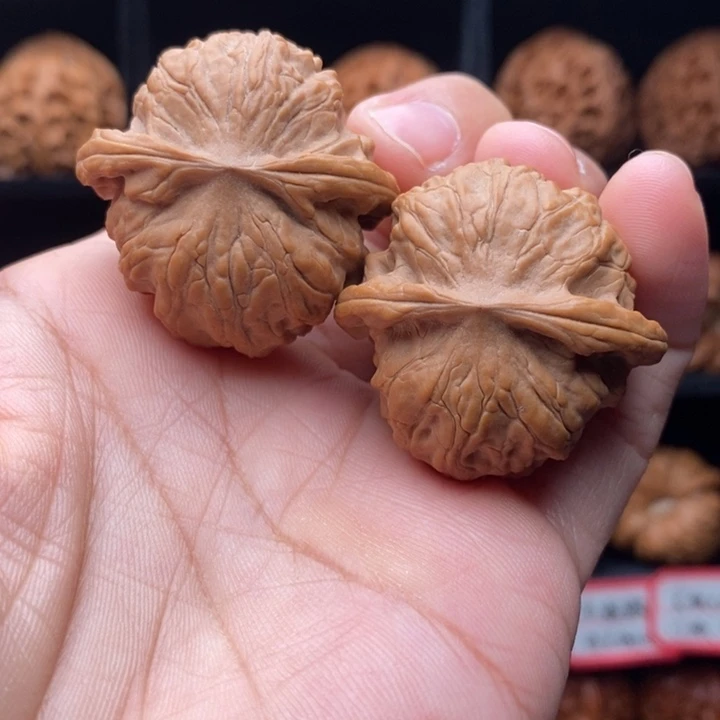 吊坠龙脊菩提37尺全品野狼