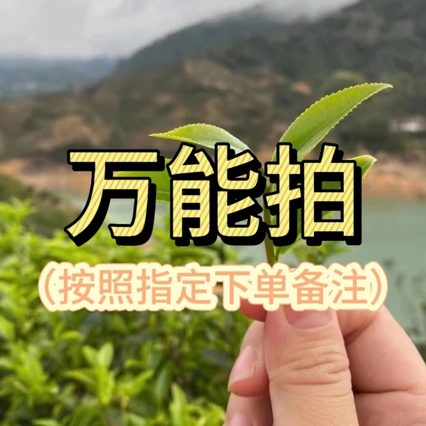 【万能拍】按照指定下单或者联系客服备注 凤凰单丛潮州工夫茶