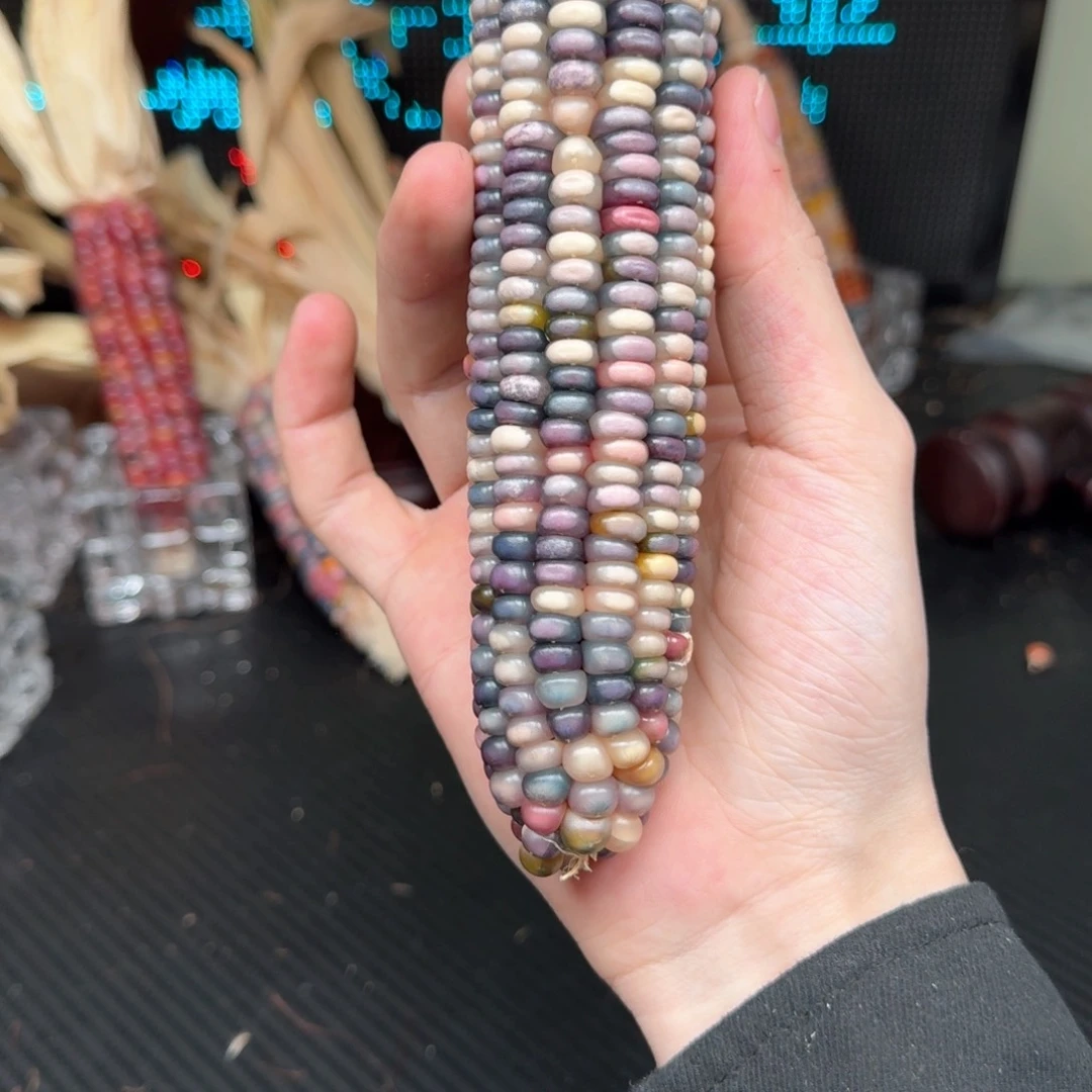 柏香籽/百香籽吊坠。**o