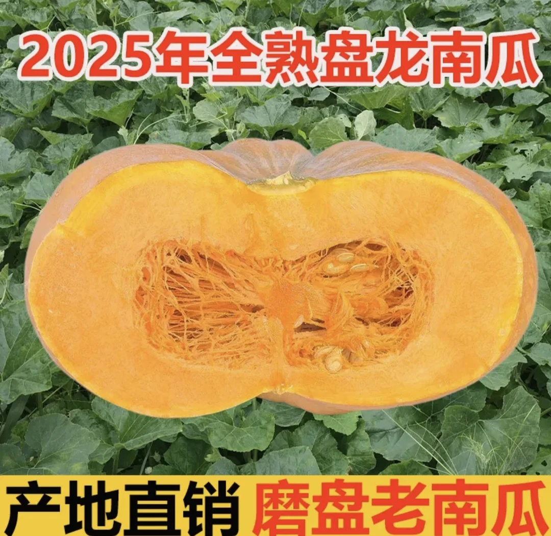 河南露天种植农家土产扁圆磨盘形状奶油小南瓜口感好肉厚香甜