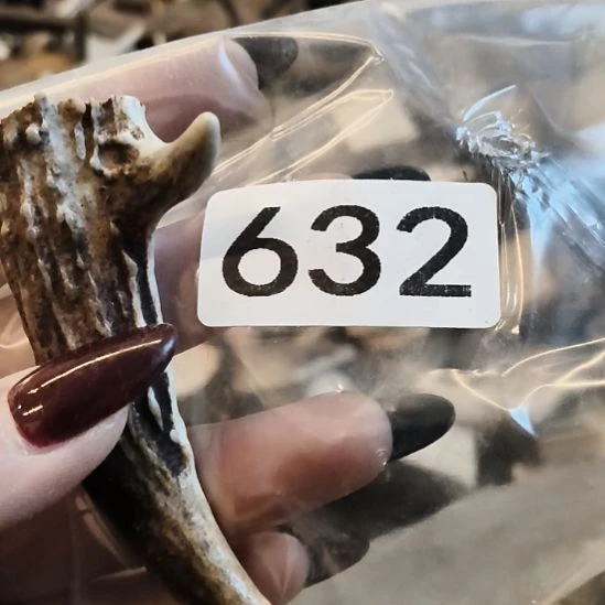 东***~鹿角鹿角鹿角鹿角鹿角鹿角