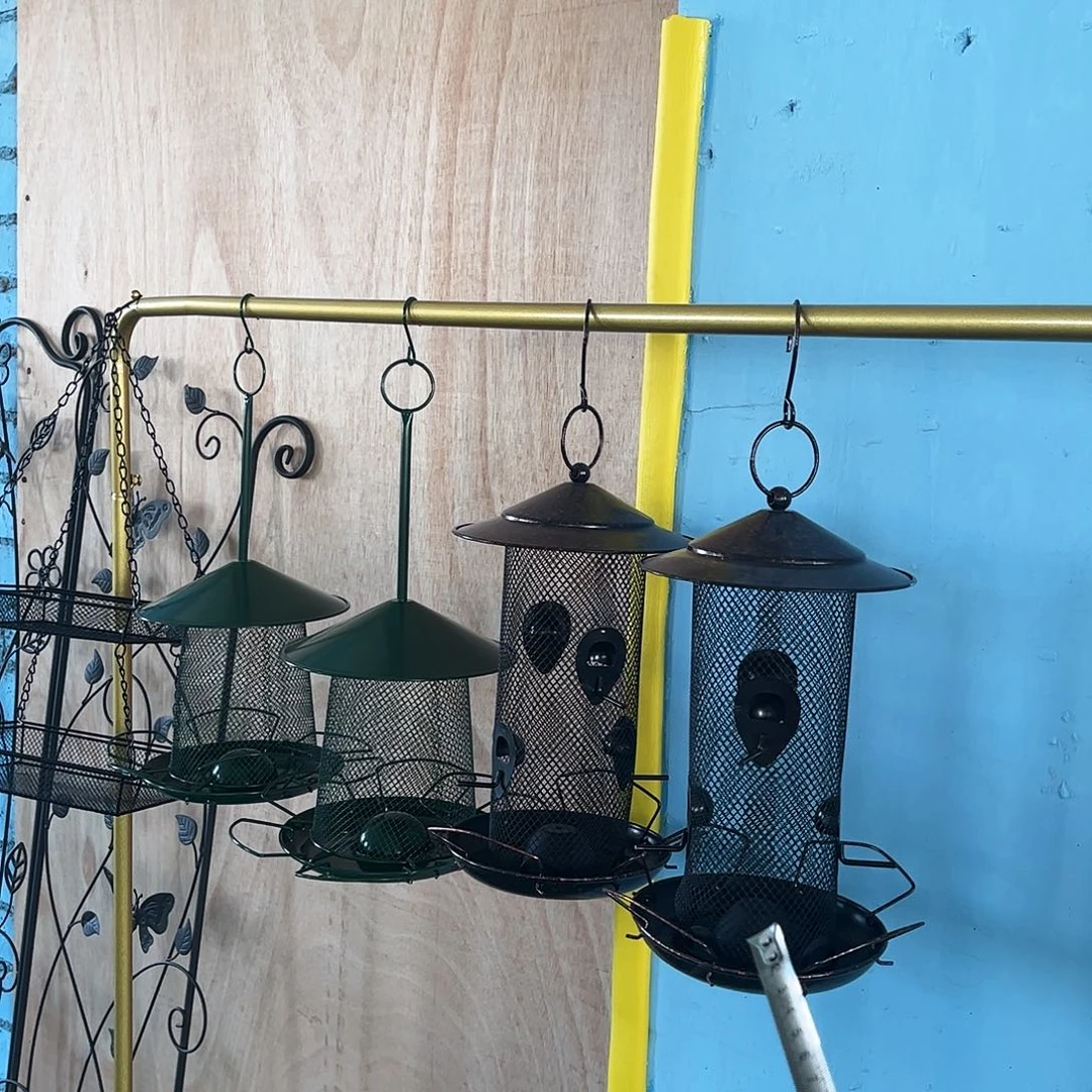 孤品炸炸炸炸炸炸