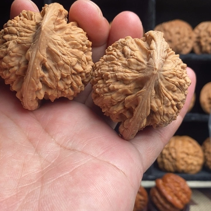 全品大官帽41尺寸