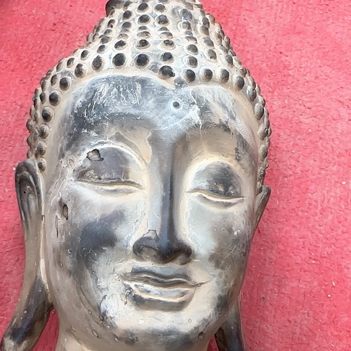 默***居这是老师喜欢的作品