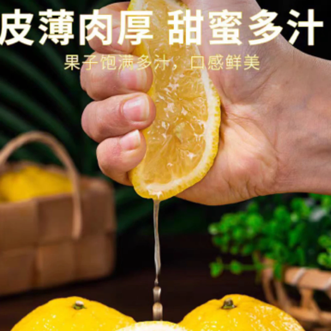 黄金贡柚(1500g ）