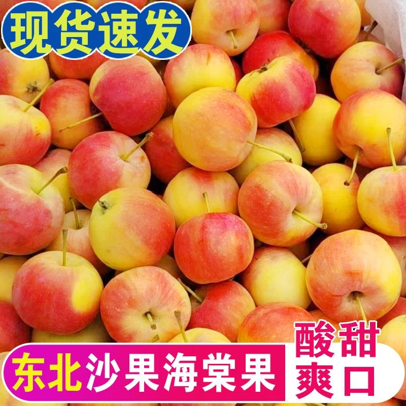 【顺丰包邮】东北黄太平沙果海棠果特产花红小苹果新鲜孕妇酸水果
