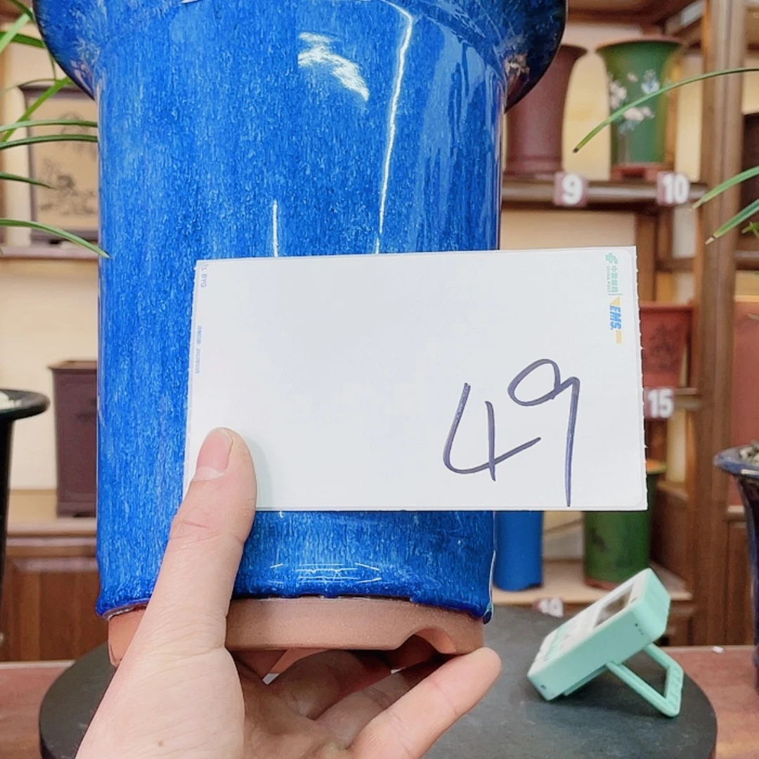 【闪购商品】紫砂花盆虚*兰花7558885665888558