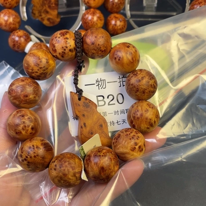 柏木（崖柏）其他松*20