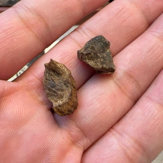 沉香摆件尖峰岭沉水包头1.1克