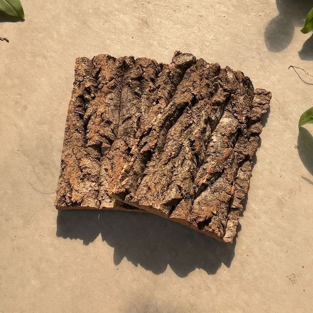 最****当前无花栽培后可以开花木板