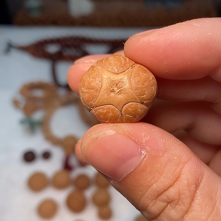 手串凤眼菩提20五星