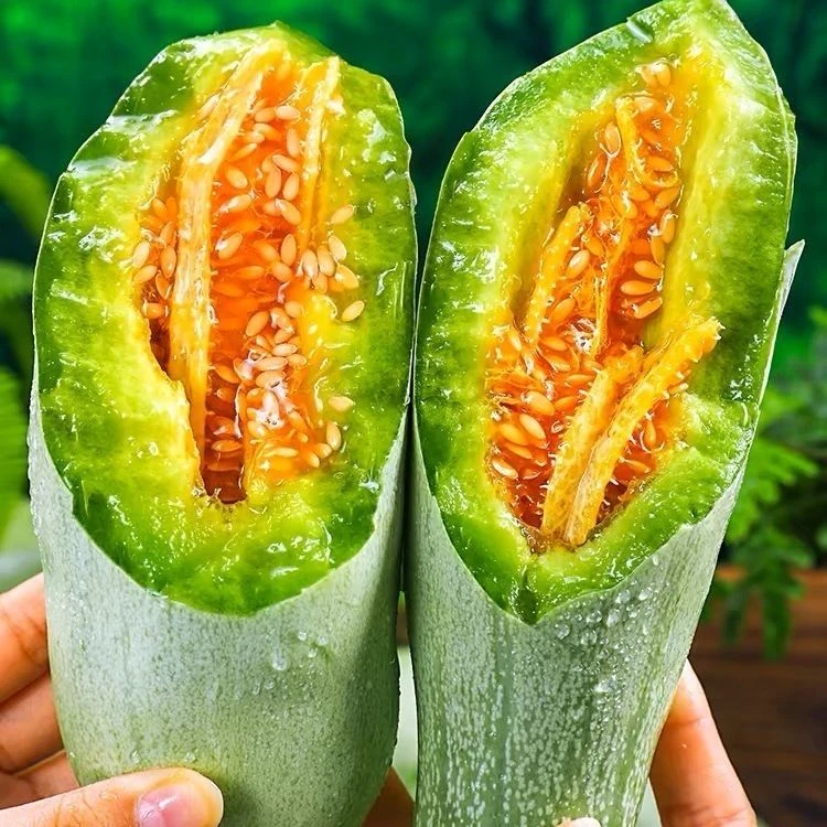 羊角蜜甜瓜秧苗超甜羊角脆酥薄皮香瓜籽农家易种春播蔬菜瓜果种苗