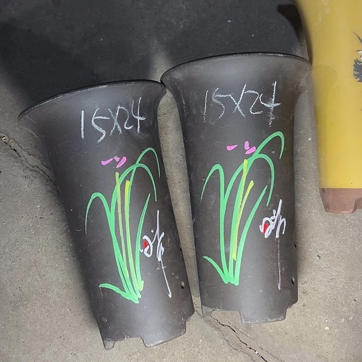 紫砂花盆周三周四自始至终自作自受