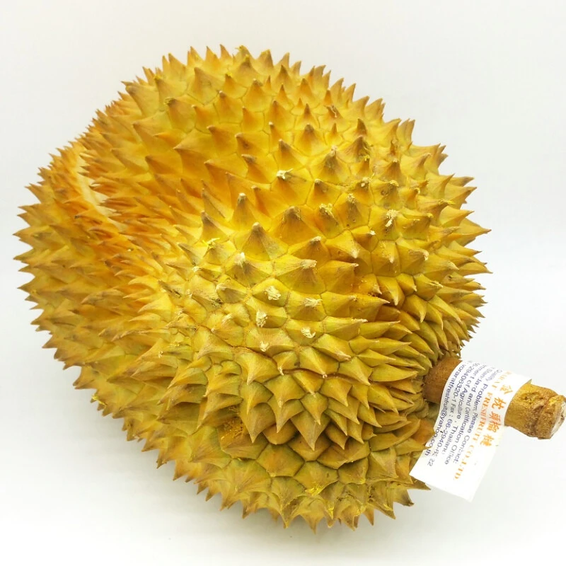 金枕榴莲 约2.2-2.5kg